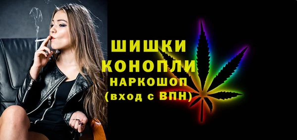 прущие грибы Няндома