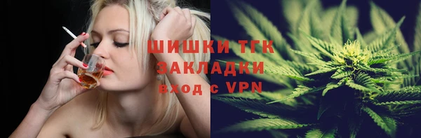 прущие грибы Няндома