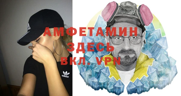 прущие грибы Няндома