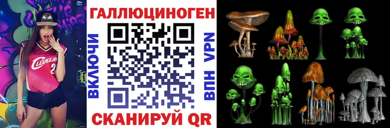 закладки  MEGA зеркало  Псилоцибиновые грибы Psilocybe  Кирс 
